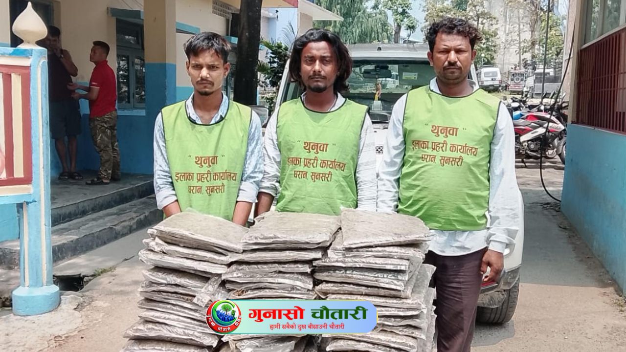 ५९ केजी गाँजासहित तीन भारतीय नागरिक पक्राउ